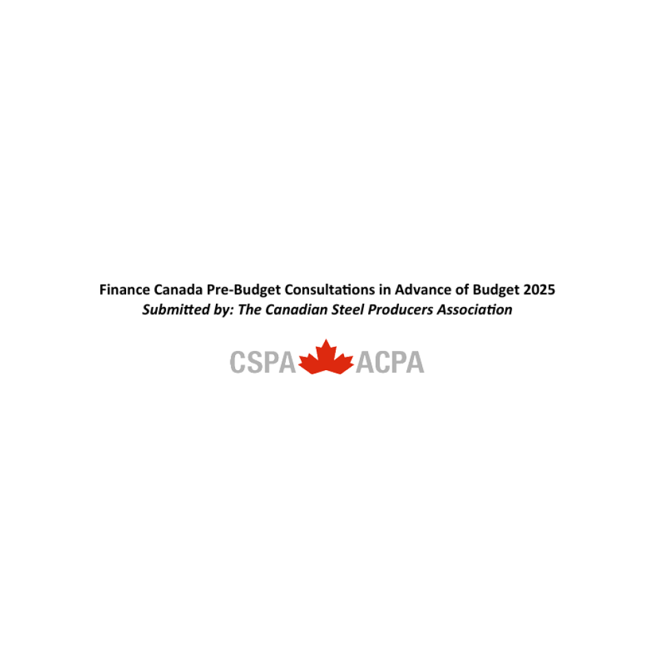 Finance Canada Pre-Budget Consultations in Advance of Budget 2025